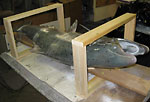Fish Mount