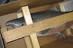 Fish Mount