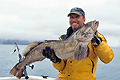 Lingcod