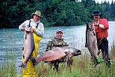 Client Fish Pictures - Alaska's Real Life Taxidermy