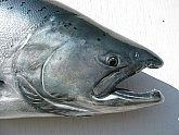 Kenai King Salmon Head Reproduction : King Salmon Fiberglass Replica