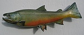 Bull Trout Fish Mount Reproduction: Bull Trout Fish Mount Reproduction