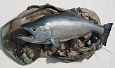 King Salmon Skin Mount Fish Mount  : King Salmon Skin Mount Fish Mount