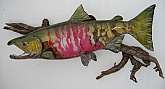 Chum Salmon Fish Mount Taxidermy