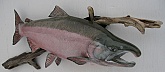 Silver Salmon Replica Mount: Silver Salmon Replica Mount-Quality Salmon Trophy by Mark Osund