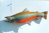 Dolly Varden Fish Replica: Dolly Varden Fiberglass Fish Replica