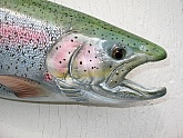 Rainbow Trout Fish Mounts & Fish Replicas