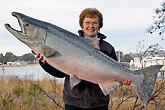 King Salmon Mount: King Salmon Mount