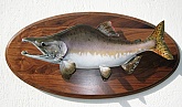 Pink Salmon Taxidermy Mount: Alaskan Pink Salmon Fish Taxidermy