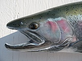 Steelhead Fish Reproduction: Steelhead Fish Mount Reproduction Closeup
